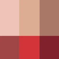 Rouje La Palette Visage Tortoise Sale